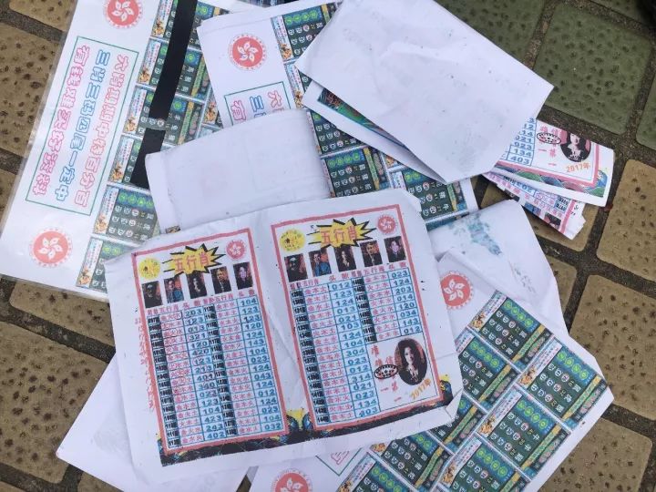 澳门六合免费资料查询,高速应对逻辑_原创性版86.576