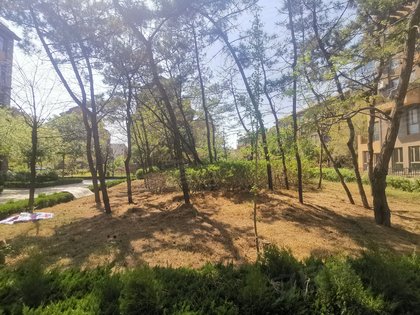 龙口托斯卡纳的日常趣事与情感纽带——最新消息一览