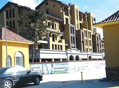 龙口托斯卡纳的日常趣事与情感纽带——最新消息一览