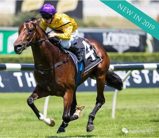 新澳2024年精准特马资料,创新解释说法_精选版17.724