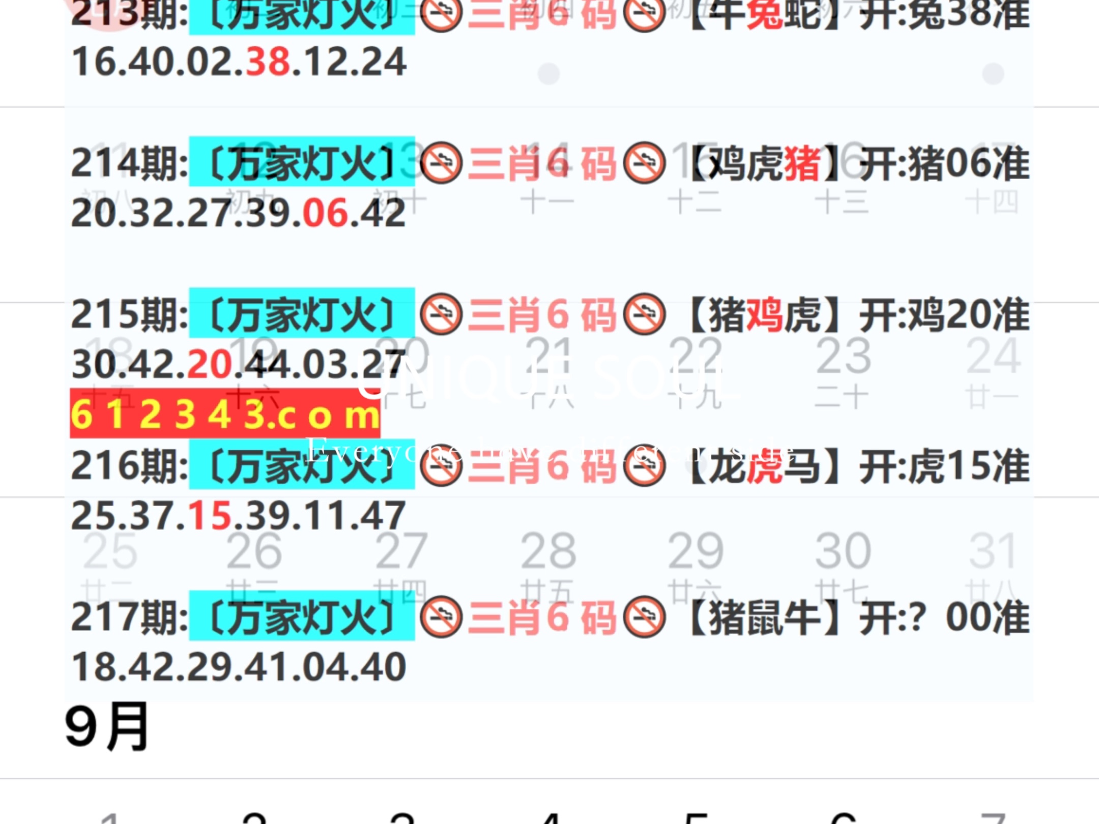 2024年新奥门天天开彩,标准执行具体评价_启动版44.277