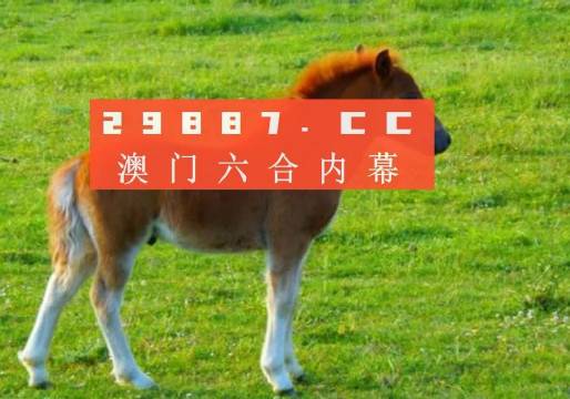 澳门一肖一码一必中一肖同舟前进,实地验证策略具体_科技版55.150