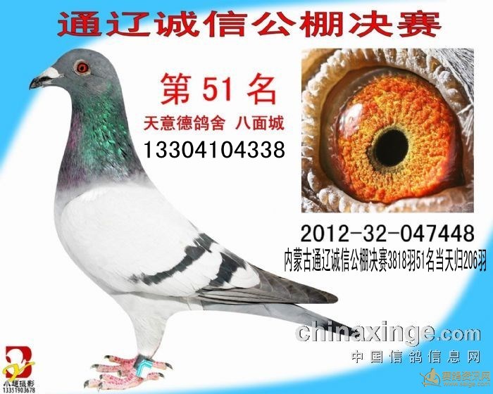 北京义信公棚最新动态与相关论述解析