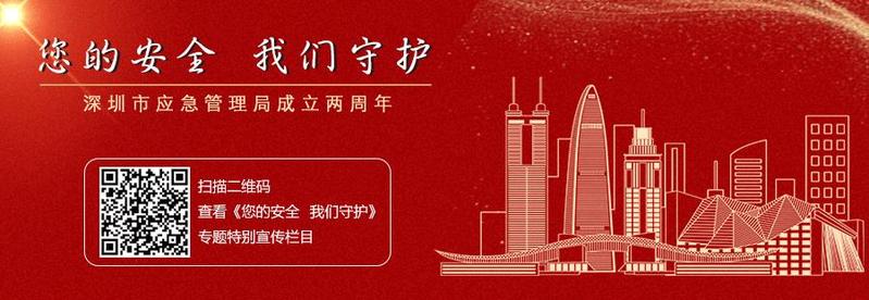 一肖一码一一肖一子深圳,安全设计方案评估_沉浸版2.387