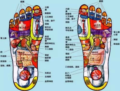 足部反射区示意图揭秘,小巷中的健康宝藏之秘
