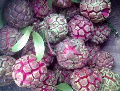 老虎聚合最新版本功能解析与体验分享，全新功能一网打尽！