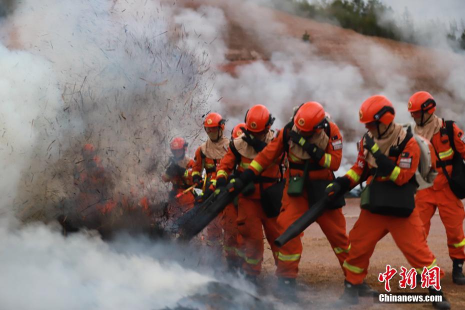 龙岩新罗区最新新闻及其获取指南