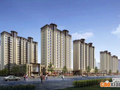 曹县金座最新动态更新