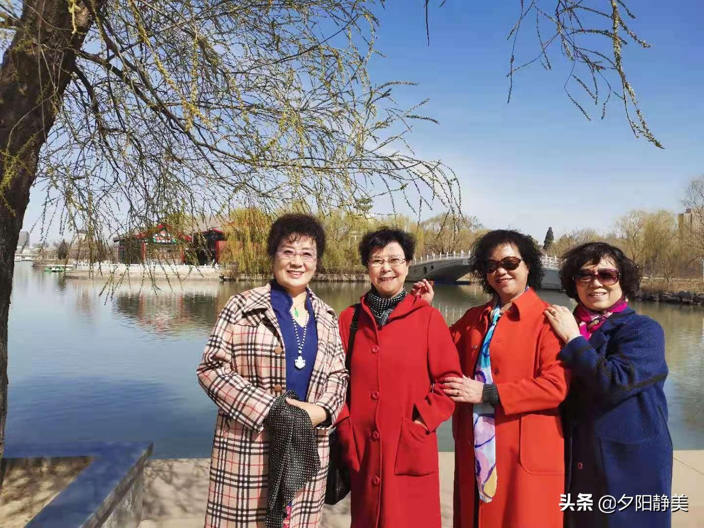 内蒙古高铁最新规划,内蒙古高铁最新规划🚄，开启草原新篇章！