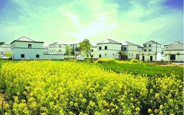 今日淮南新闻焦点,高科技产品重塑生活体验,引领未来发展趋势