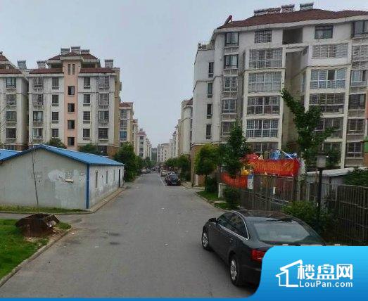 淮南山南新区最新楼盘探索，小巷独特风景与隐藏特色小店揭秘