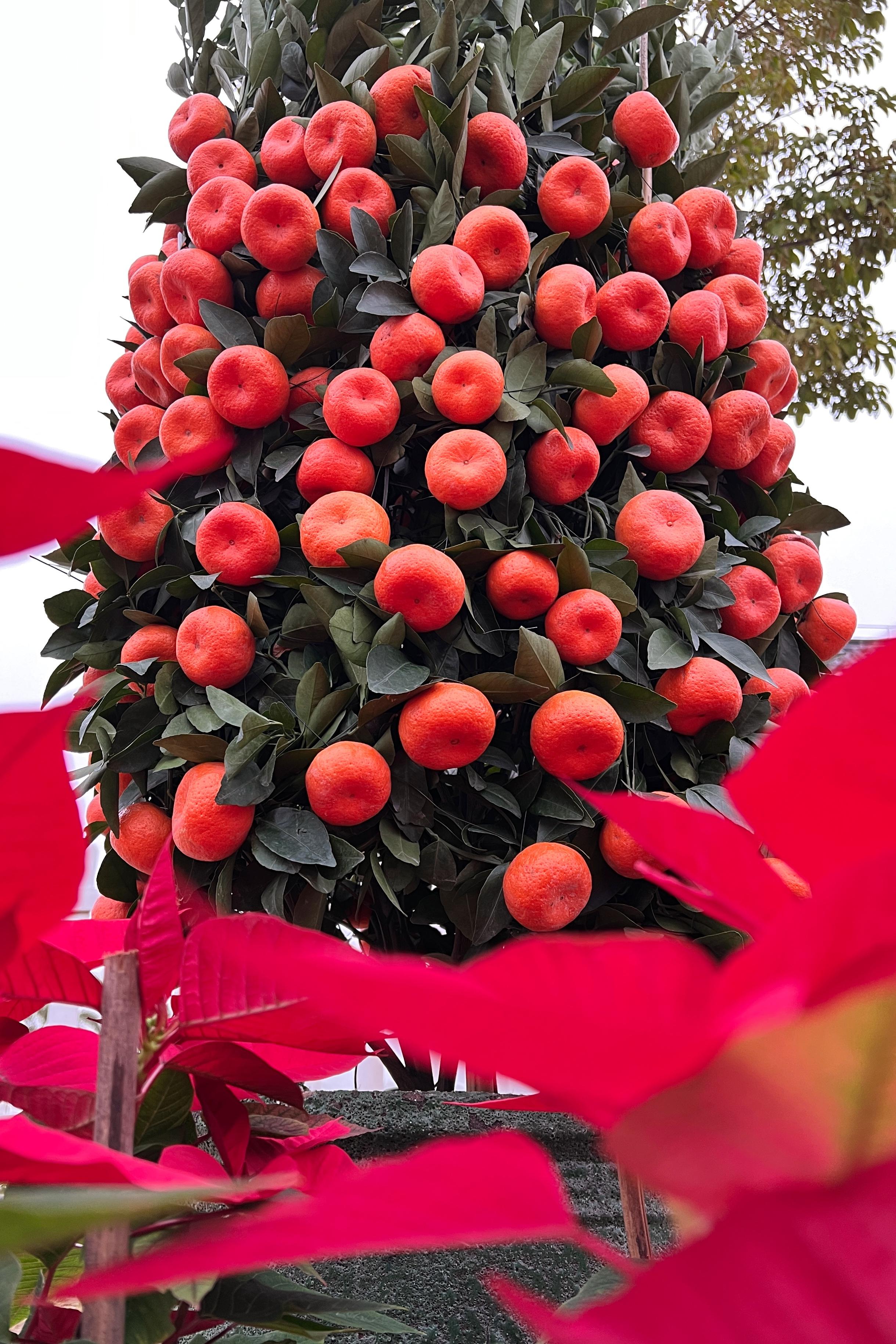 最新电商新闻,策略调整改进_云端版94.554