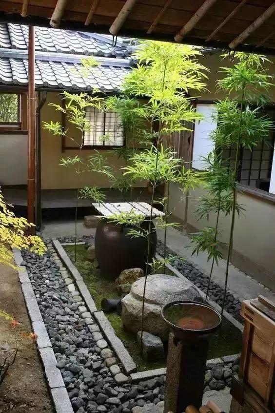 最新竿,最新研究解读_美学版94.330