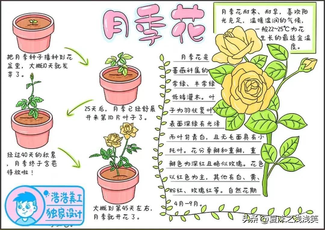 公众号微商城 第282页