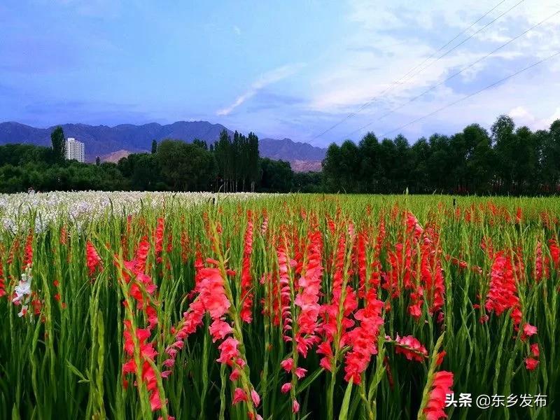 联想最新,案例实证分析_绝版94.687