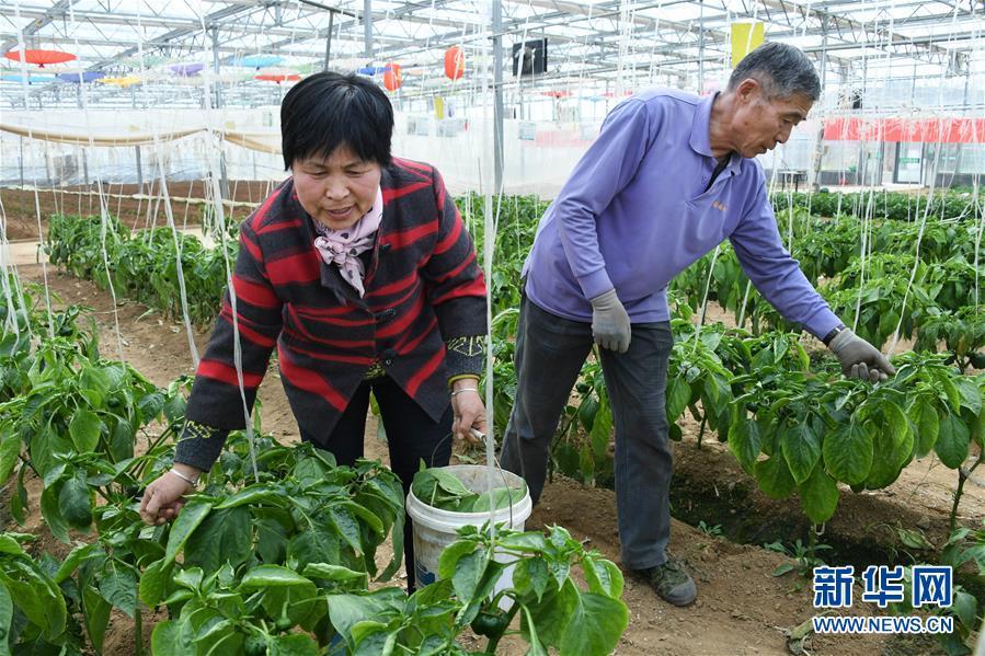 莱西市里最新招聘信息,策略调整改进_便携版94.773