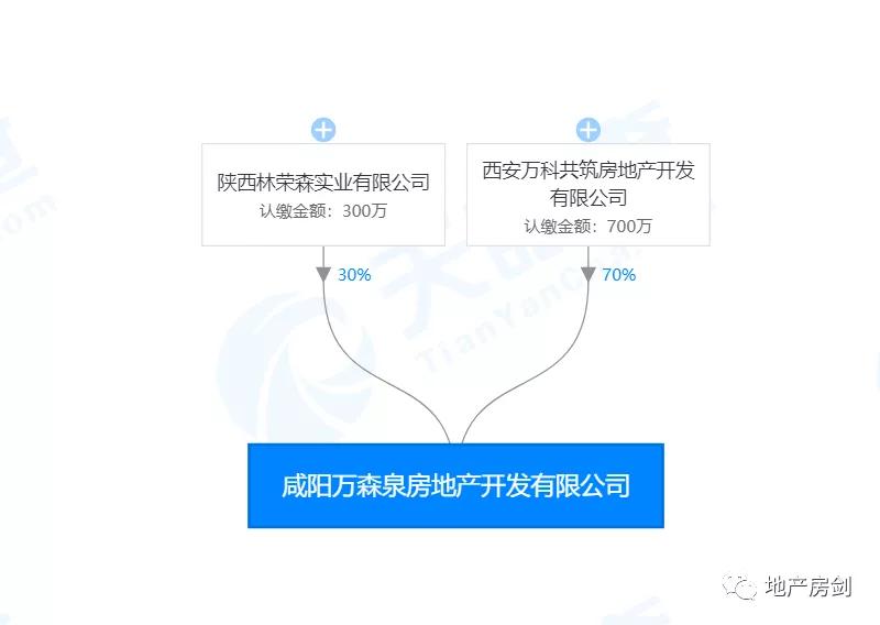 融创咸阳项目最新消息,稳固执行战略分析_云端版94.334