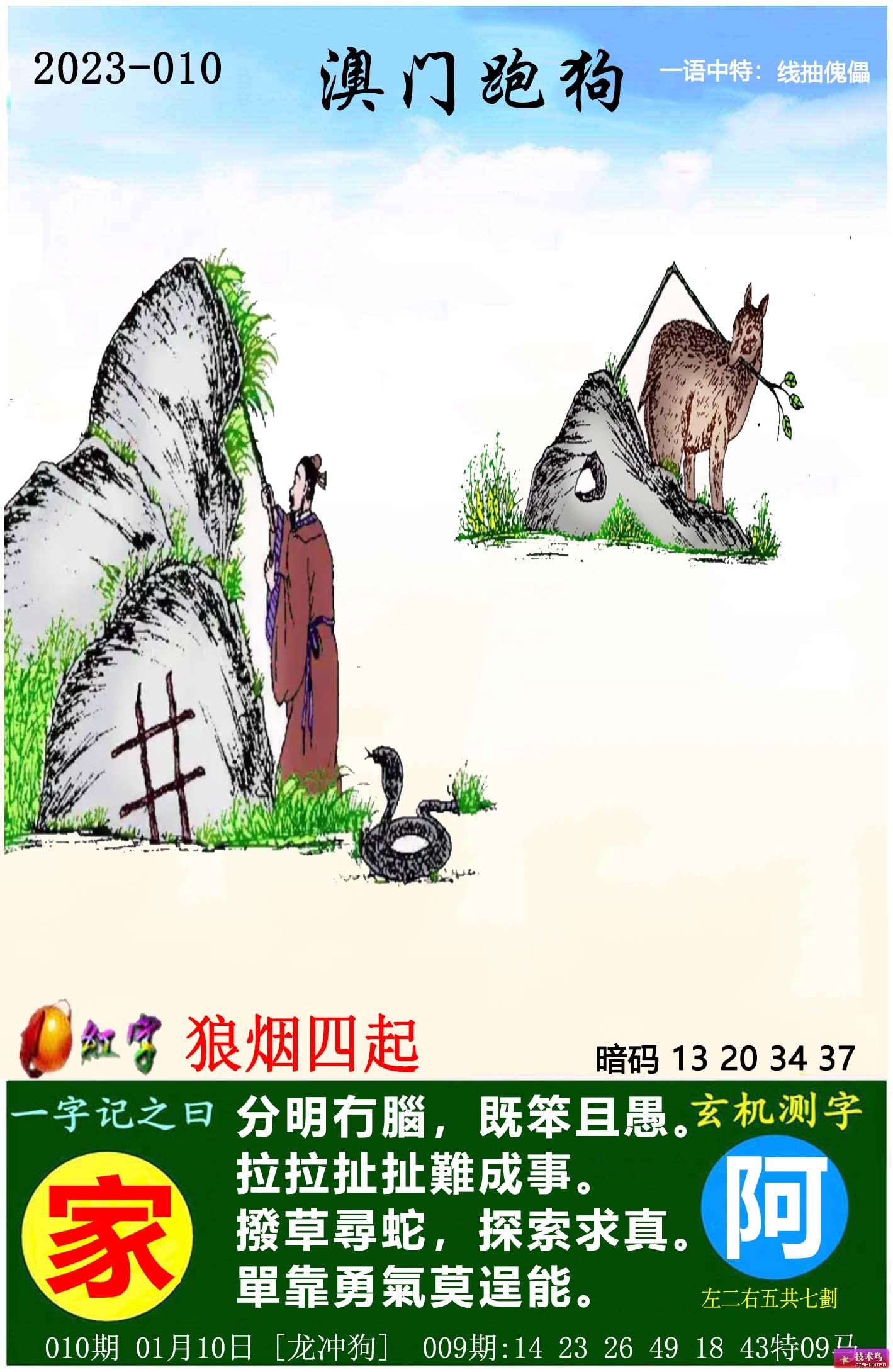 7777788888新版跑狗图解析,安全性方案执行_稳定版22.465