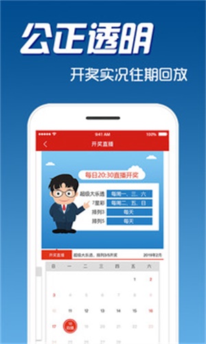 二四六天天彩资料大公开,灵活执行方案_高效版22.505