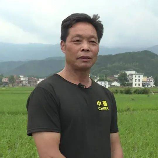 广西辅警改革全面指南，最新消息与改革步骤