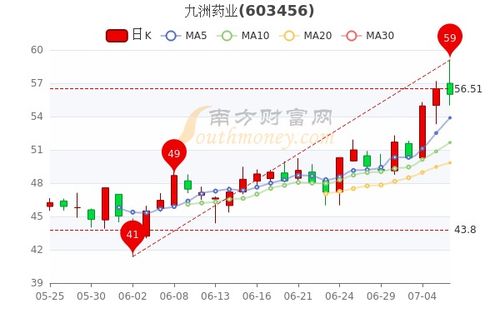 九洲药业股票最新消息,具象化表达解说_极致版23.753