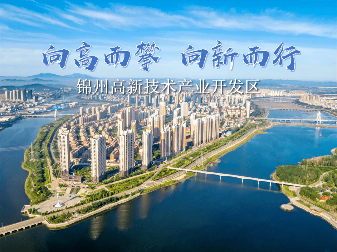 锦州政府网站最新消息,时尚法则实现_时尚版23.129