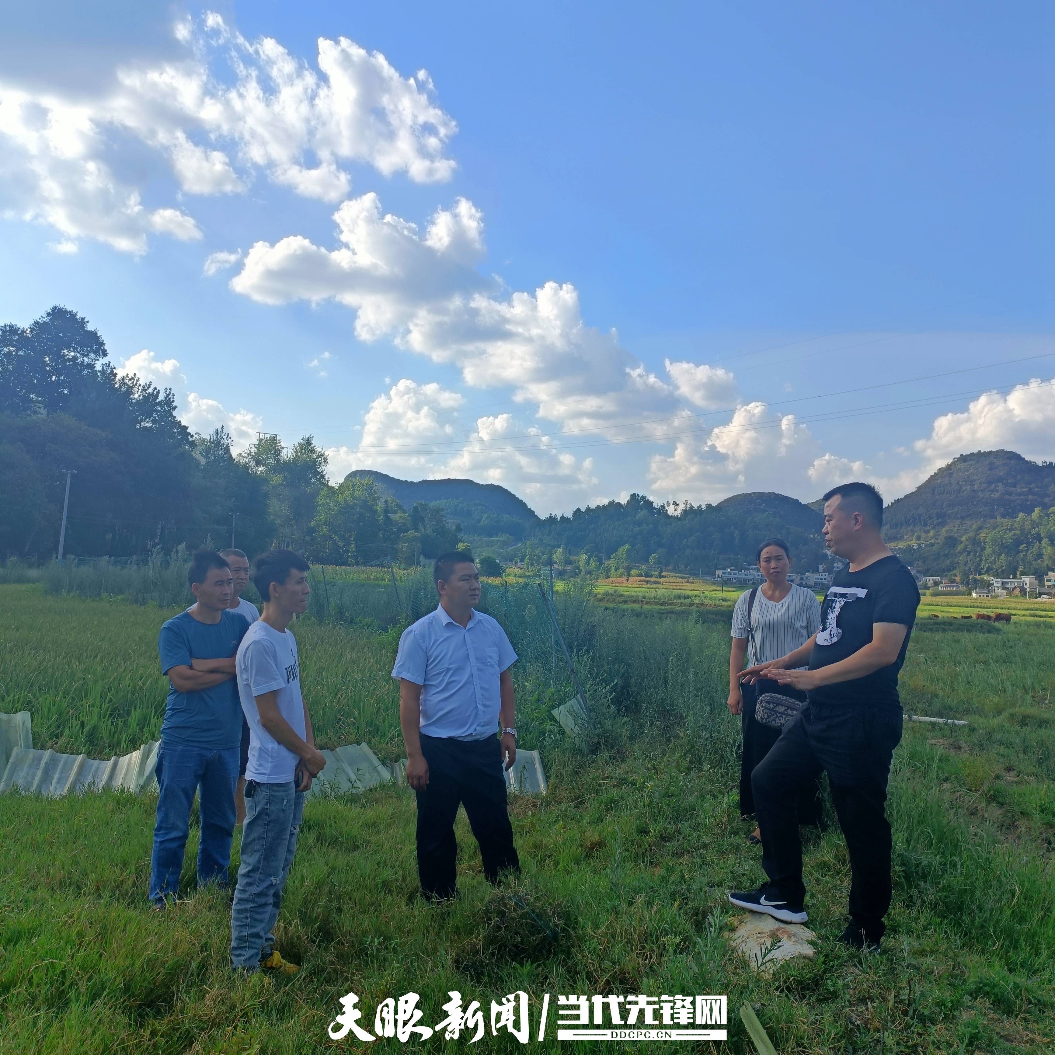 黔西县钟山镇最新消息,持续改进策略_护眼版23.789