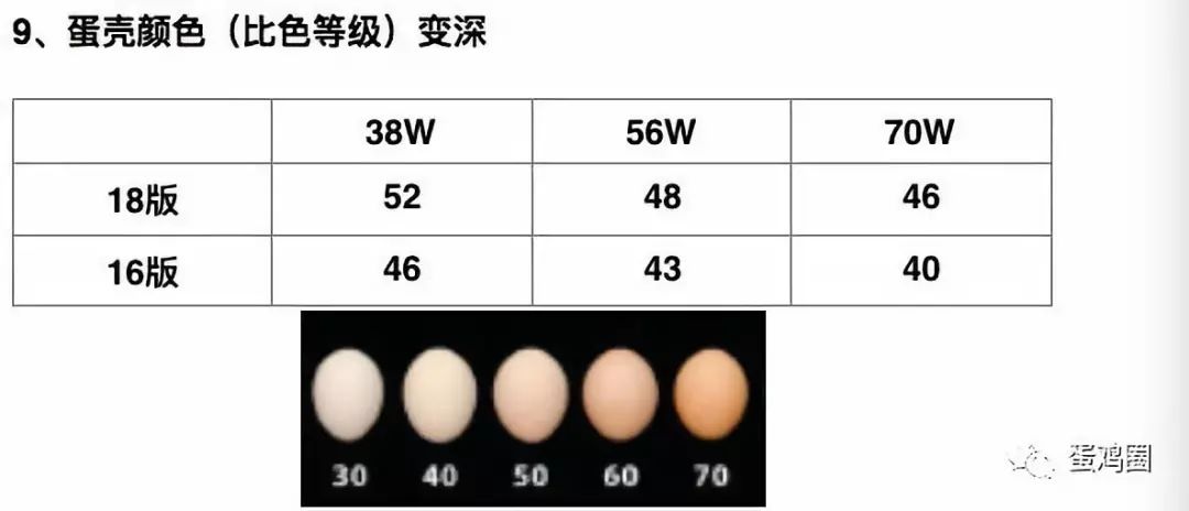 最新九色腾,最新九色腾，背景、事件与地位的深度剖析