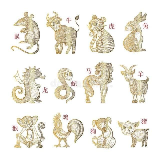 最新十二生肖揭秘与解析