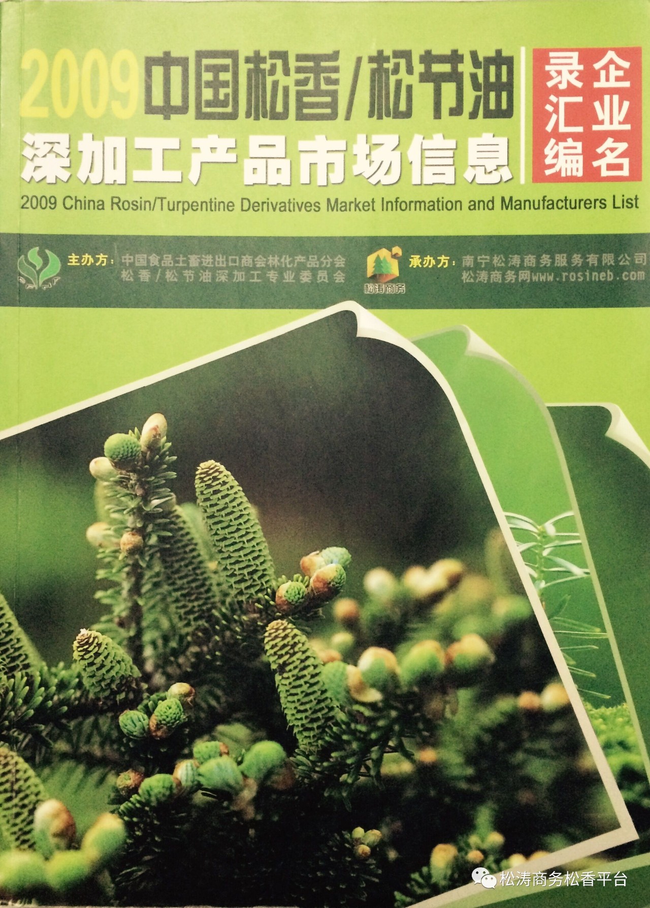 广西松脂最新价格及市场走势多元观点分析