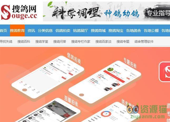 探索最新信息门户，4455最新地址汇总