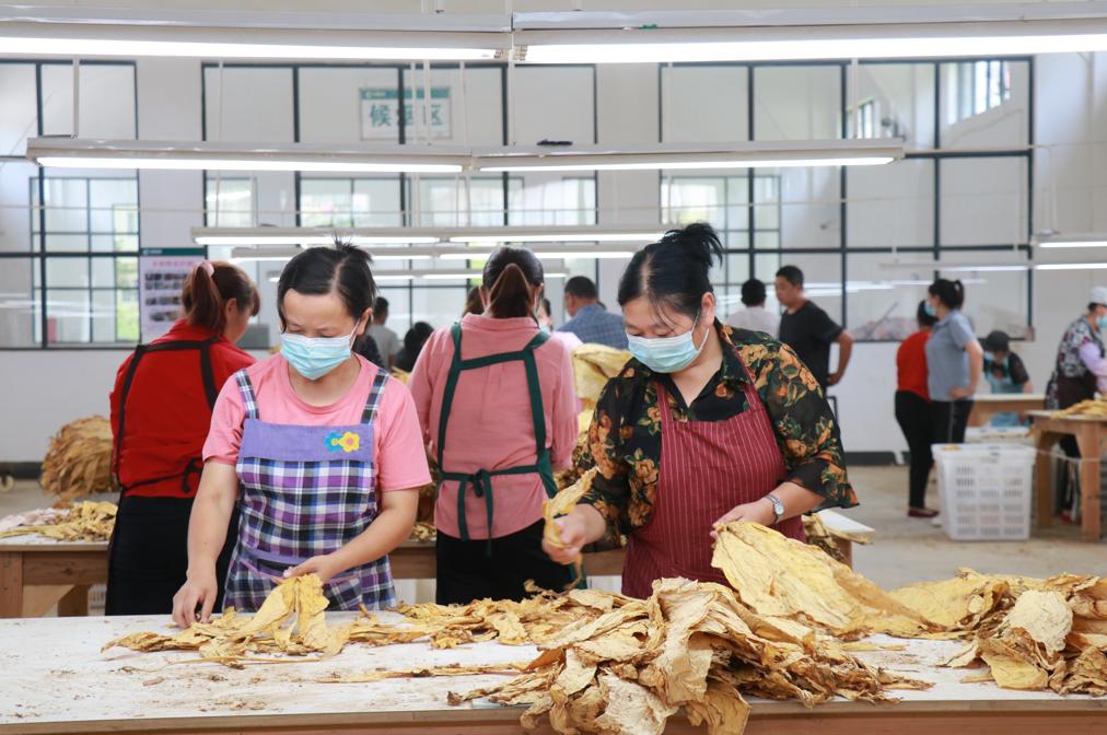绥阳新闻最新动态，学习之光照亮未来，变化带来自信与成就感