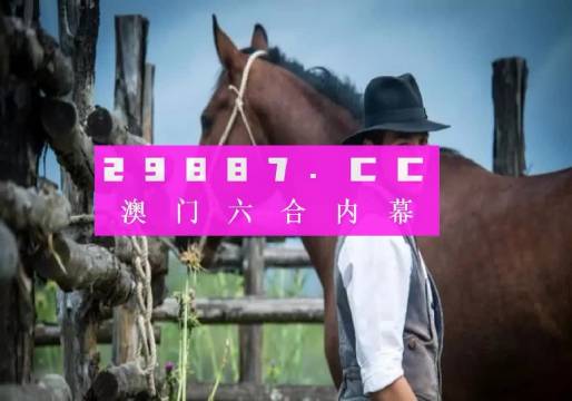 2023年澳门一肖一码,稳健设计策略_计算版13.162