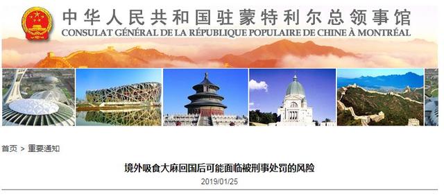 最新治安管理条例下的独特小巷风情小店风采