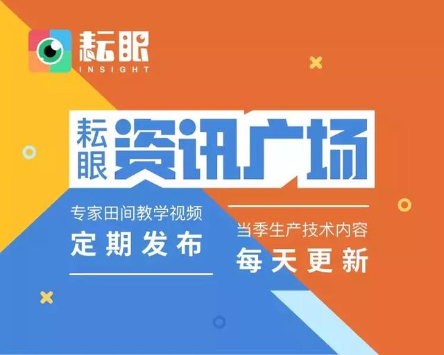 777788888管家婆免费,专家权威解答_美学版13.573