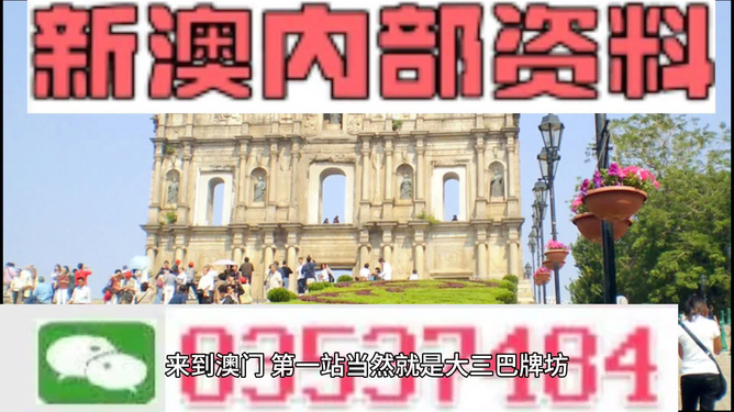 新澳门正版精准免费大全,專家解析意見_自由版13.205