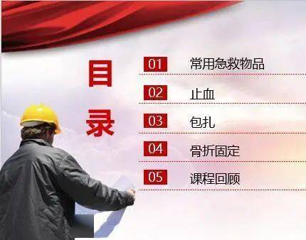 澳门四肖八码期期准免费公开？,安全性方案执行_智能版13.306