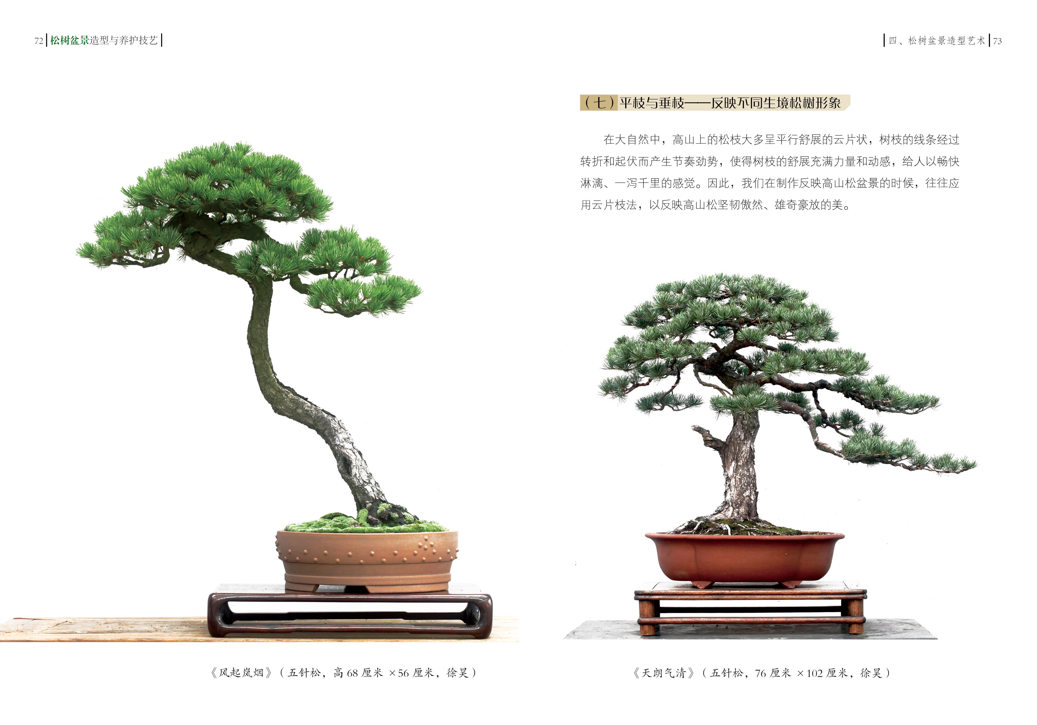 从零开始学习盆景艺术，最新盆景图片及其制作指南