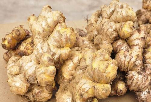 云南小黄姜最新价格概览,最新市场行情分析