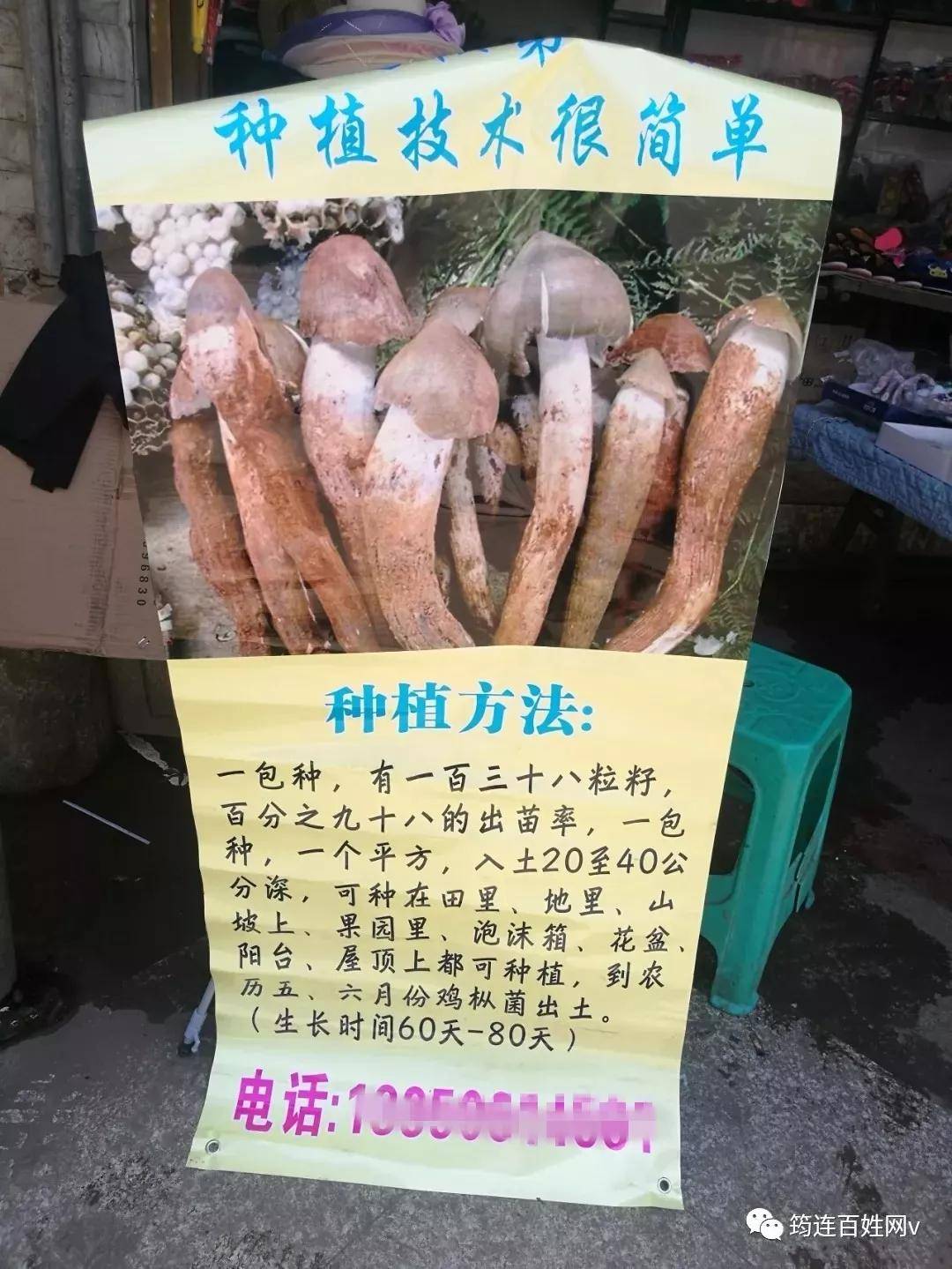 筠连百姓网更新动态,聚焦筠连发展,关注百姓生活最新资讯