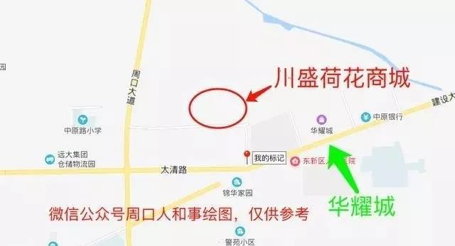 周口荷花市场全面指南与最新消息详解