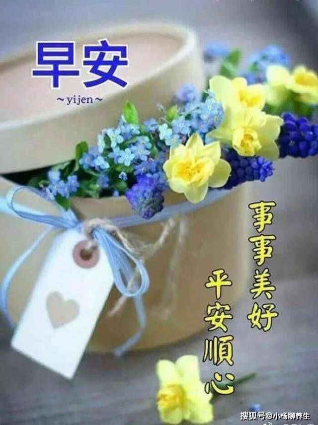 最新不雅照片揭秘，温馨日常背后的故事