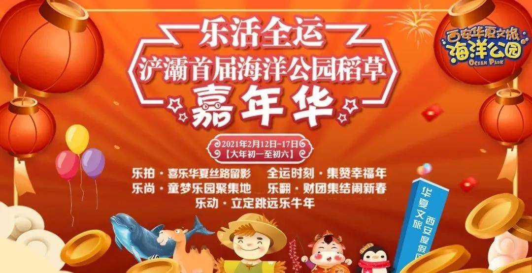 河北邮币卡最新进展揭秘，奇妙之旅与温馨日常体验