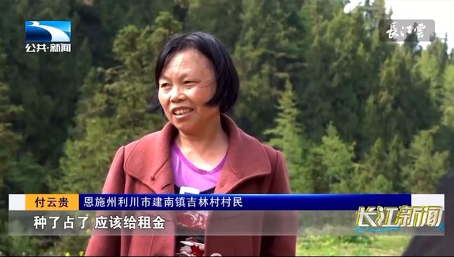 覃辉最新动态，成长轨迹与影响力聚焦