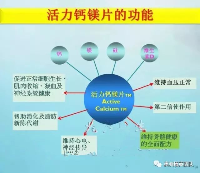 健康的最新定义，构建活力四溢的人生构建学之路