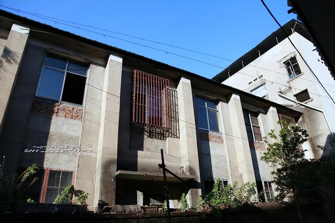 最新韵律舞蹈视频,与自然共舞,内心的宁静之旅探索