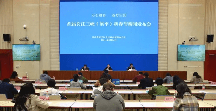 重庆梁平最新新闻报道及观点论述