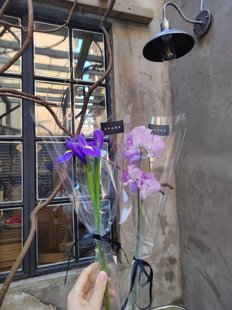上门女婿与小巷美食，探寻小豌豆最新特色小店