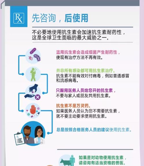 抗生素使用最新指南,历史背景、重大事件与当代地位概览