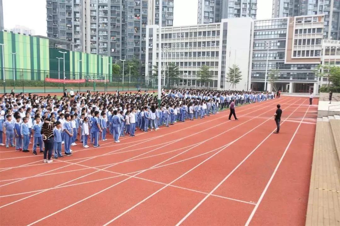 南山区小学最新排名，学习力量的变化与无限可能性探索